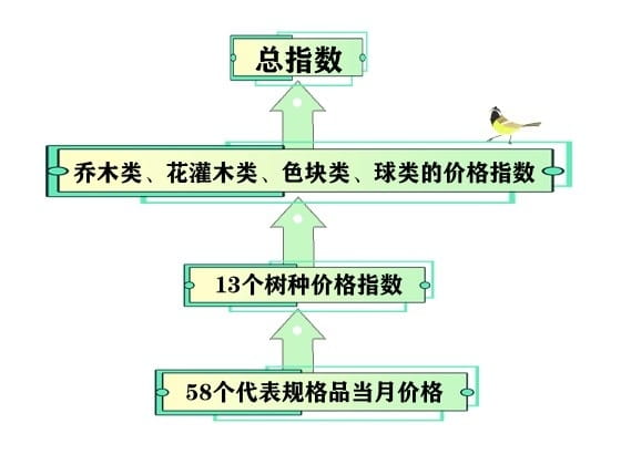 全省首支！“中国·中部花木城”花木行情指数上线试运行