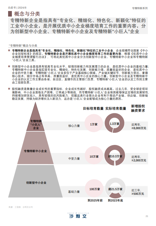 2024年中国专精特新企业发展及出海白皮书